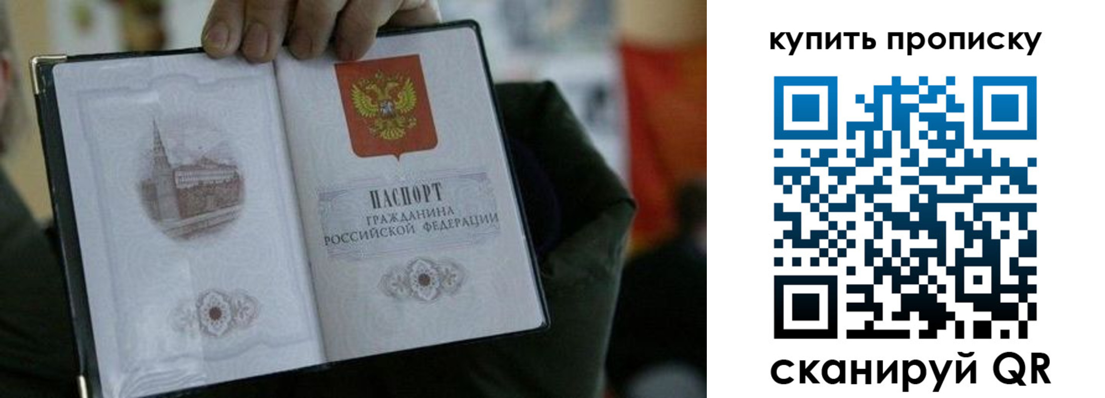 временная регистрация поиск в Курчалом